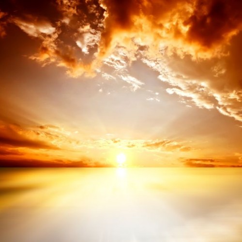 Faith Driven Life