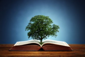 Book or tree of knowledge concept with an oak tree growing from